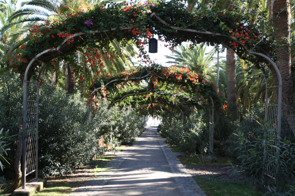 Santa Cruz Film Office Film Offices Tenerife Film Commission