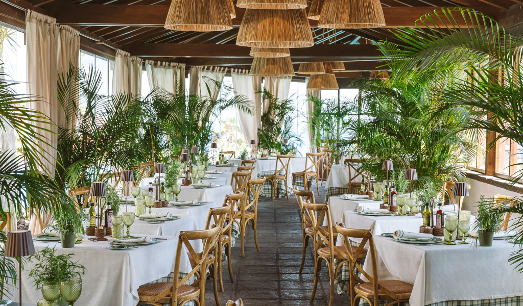 Restaurante en Tenerife con mesas decoradas con plantas y luz natural abundante.