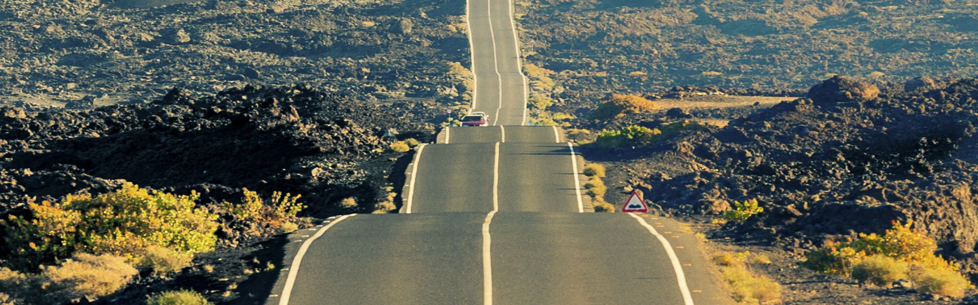 Canary International Pictures