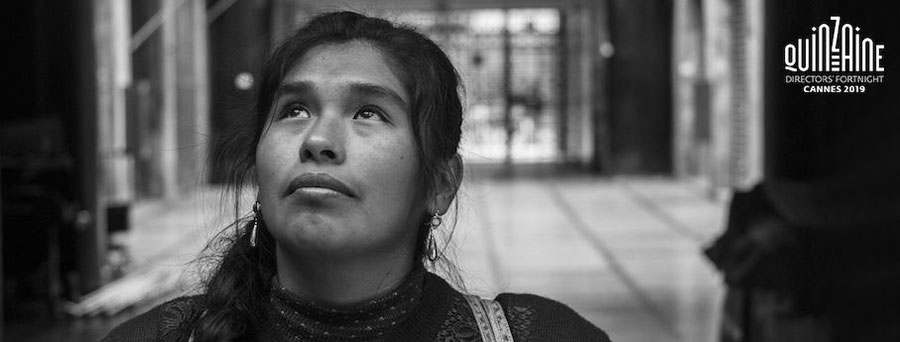 Una persona mirando hacia arriba, texto: QUINZAINE DIRECTORS FORTNIGHT CANNES 2019.