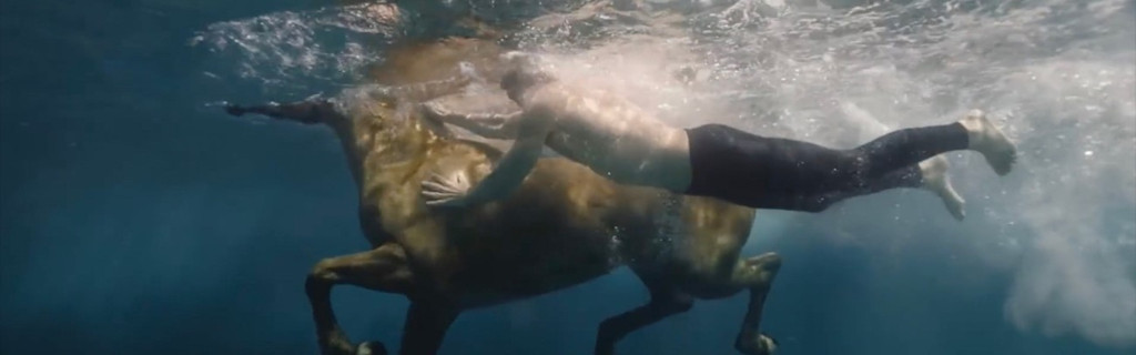 Persona nadando bajo el agua junto a un caballo en Tenerife.