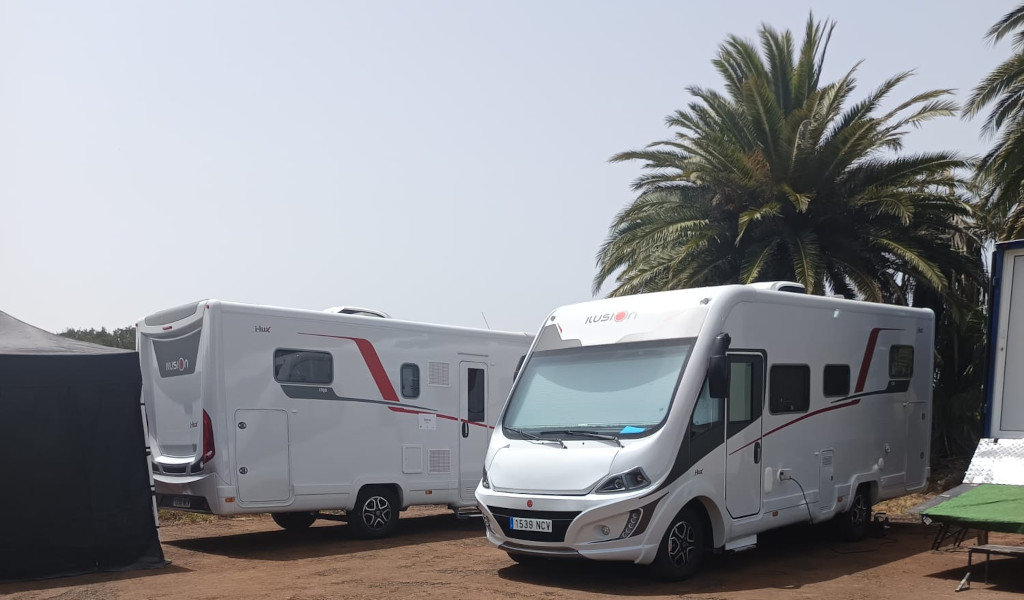 Autocaravanas estacionadas bajo palmeras en Tenerife.