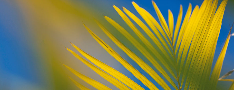 Buen clima todo el año