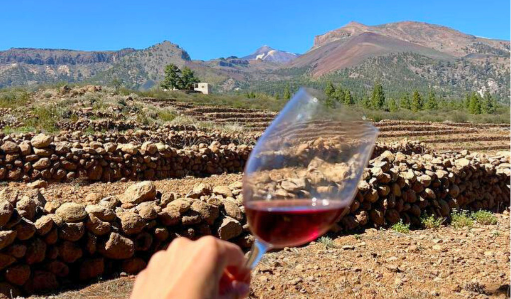 Copa de vino tinto frente a un paisaje montañoso en Tenerife.