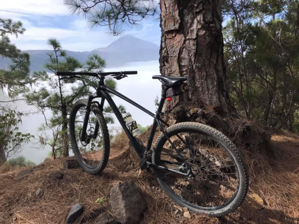 Bicicleta de montaña junto a un árbol con paisaje montañoso en Tenerife.
