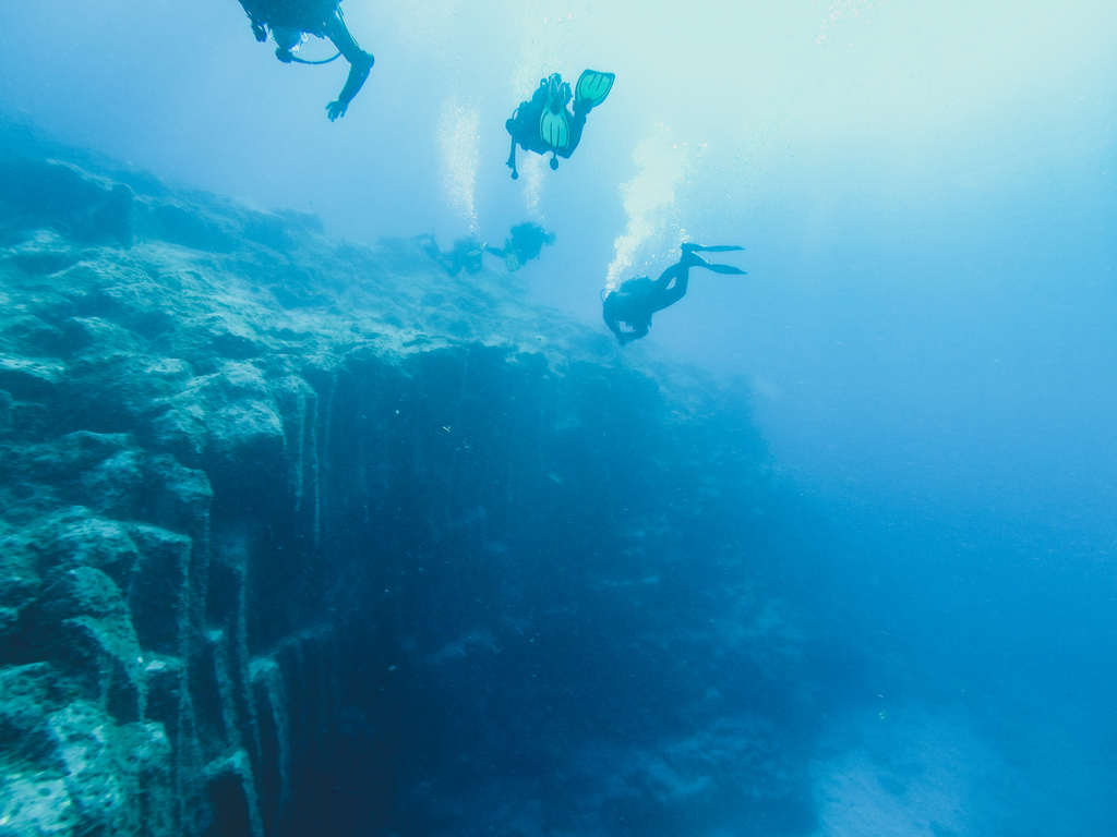 Buzos explorando el lecho marino en Tenerife.