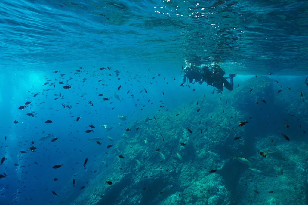 Buceadores entre peces sobre un arrecife submarino en Tenerife.