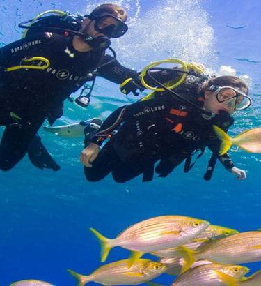 Macaronesian Divers Tenerife
