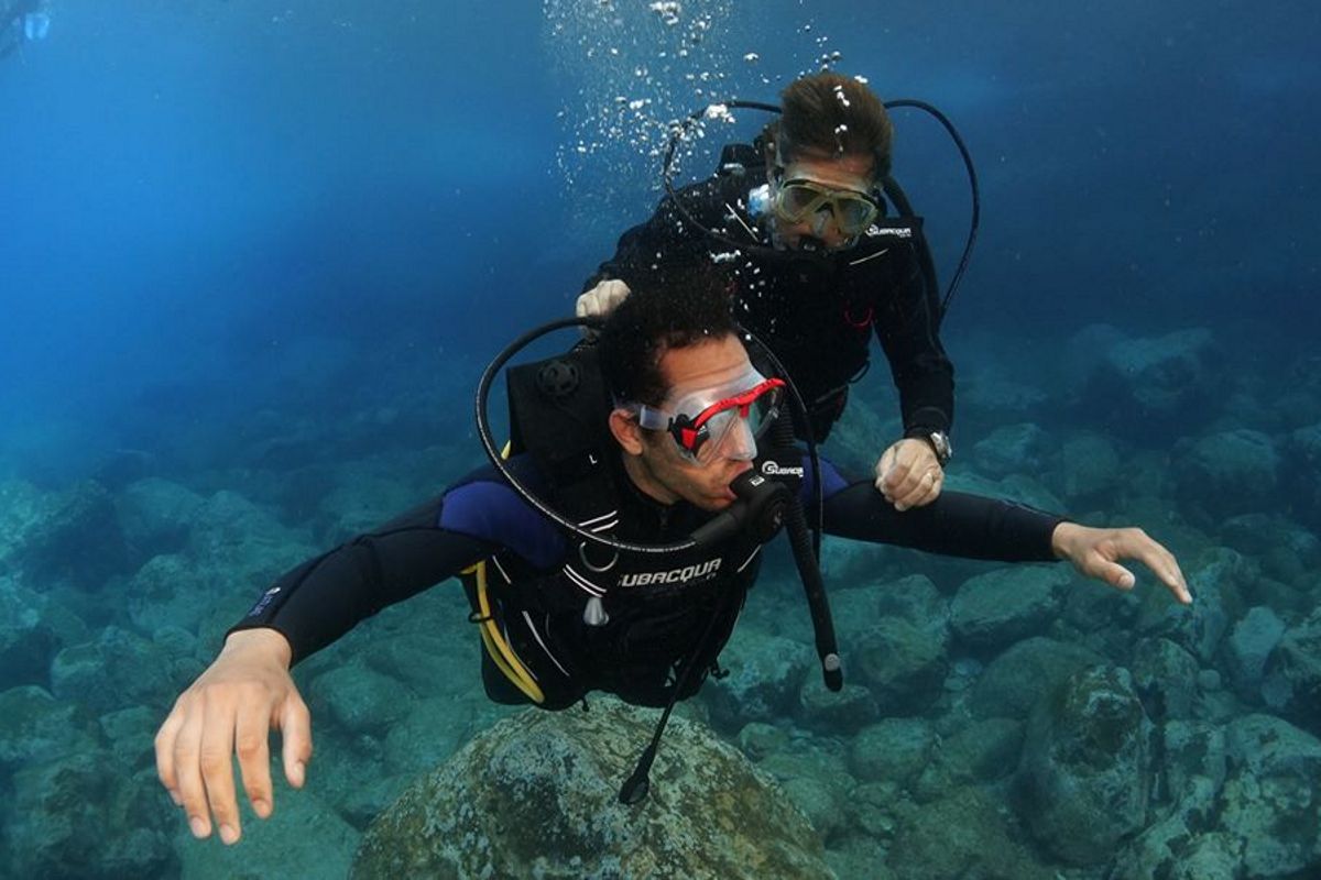 Buceadores explorando el fondo marino en Tenerife.
