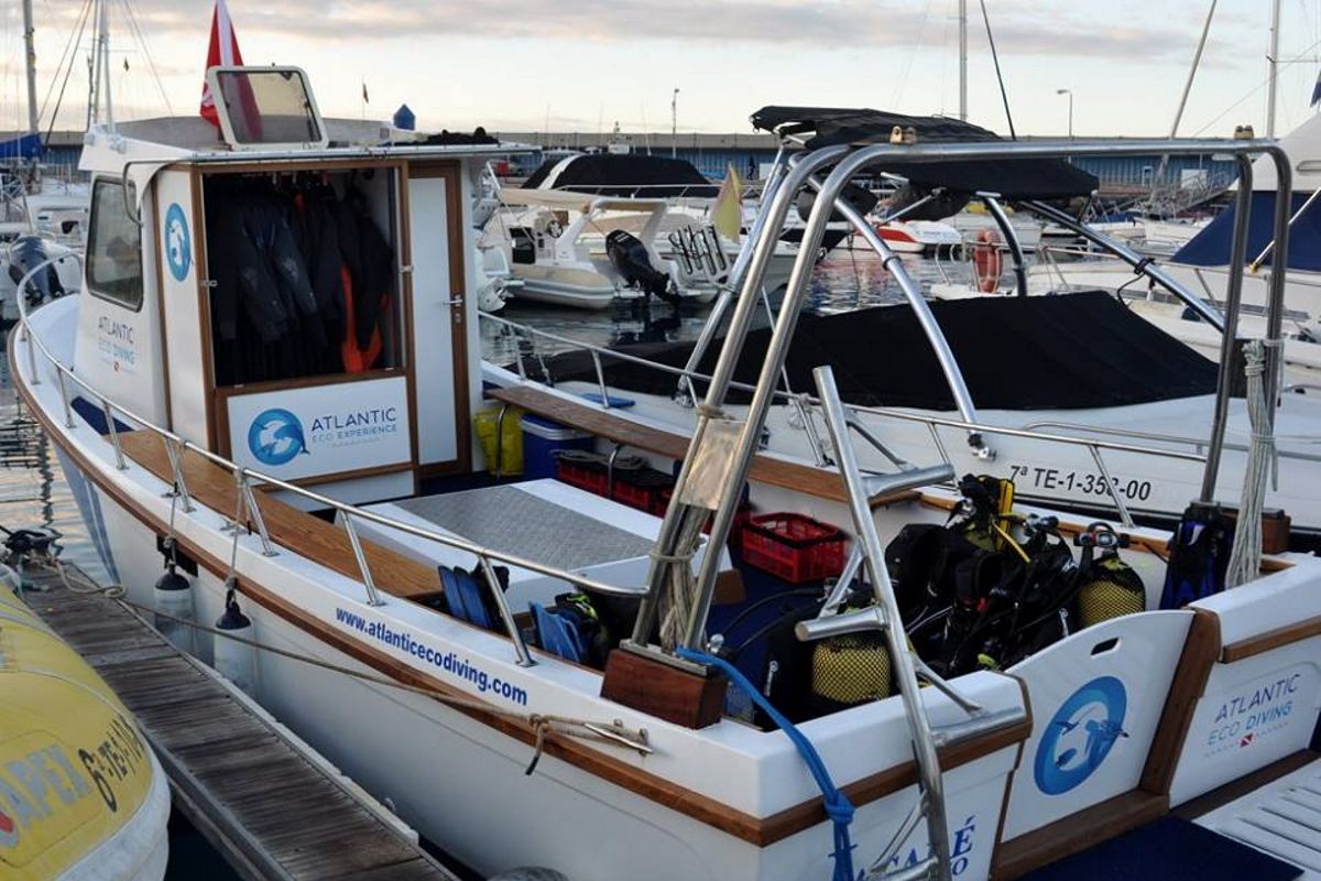 Barco de buceo con equipo de Atlantic Eco Diving en puerto de Tenerife.