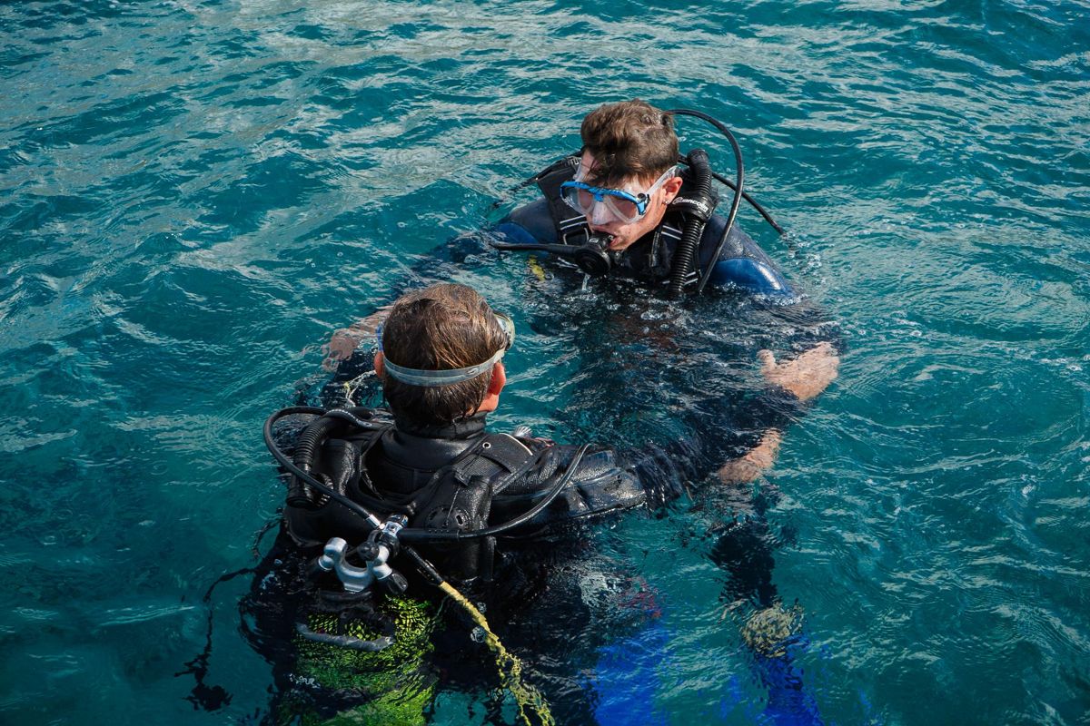 Buceadores conversando en el agua cerca de la costa de Tenerife.