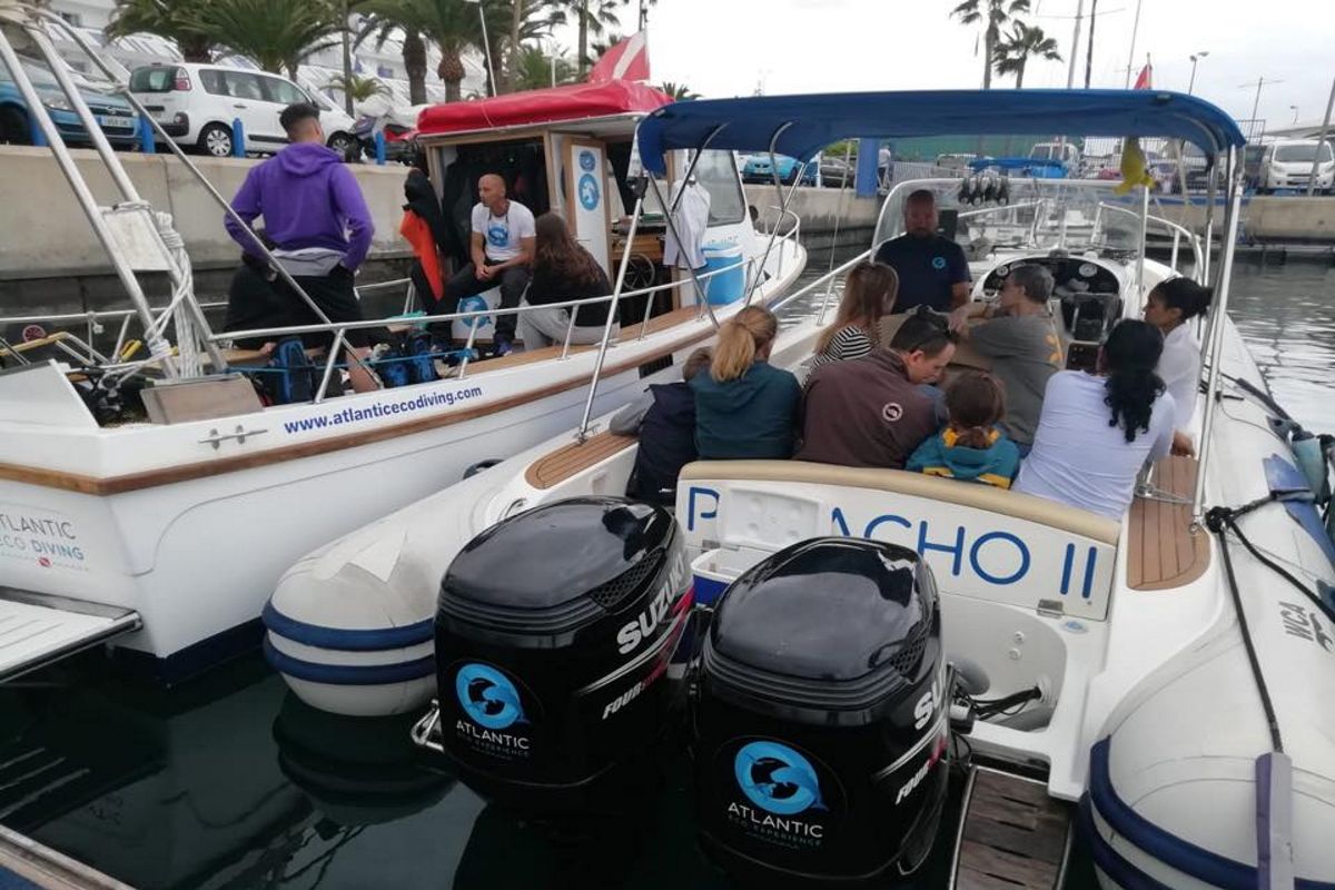 Grupo de personas en un bote de turismo en Tenerife, con motores Suzuki y logo Atlantic Eco Diving.