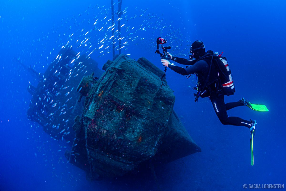 Buzo explorando un naufragio rodeado de peces en las aguas de Tenerife.
