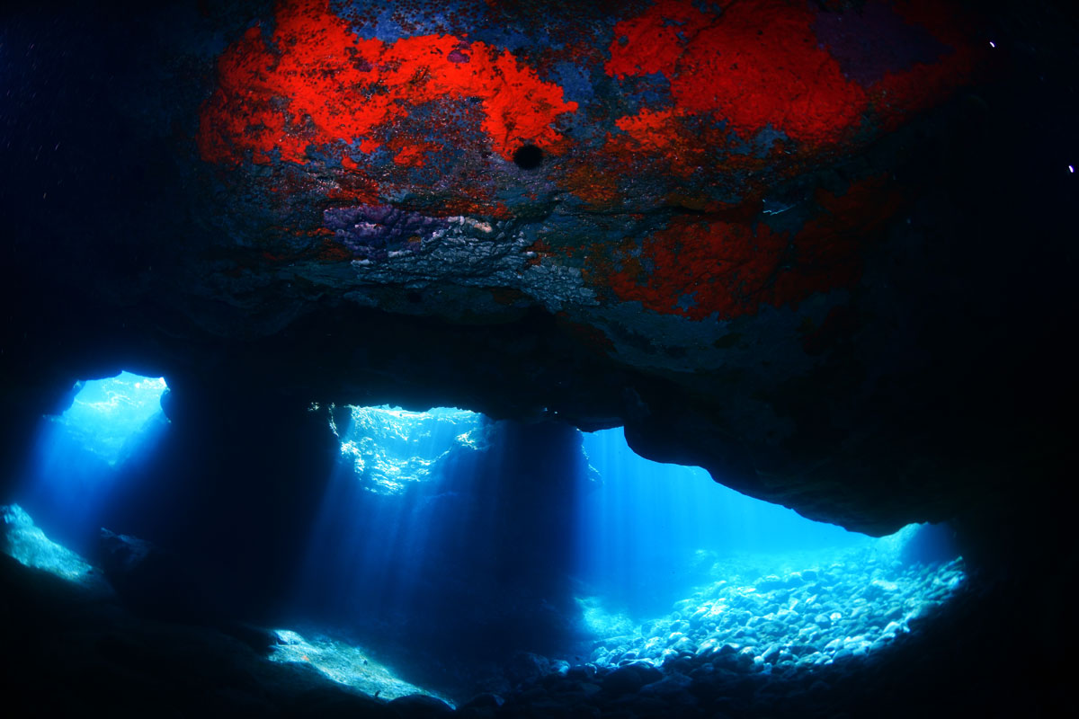 Cueva submarina iluminada por luz solar en Tenerife.