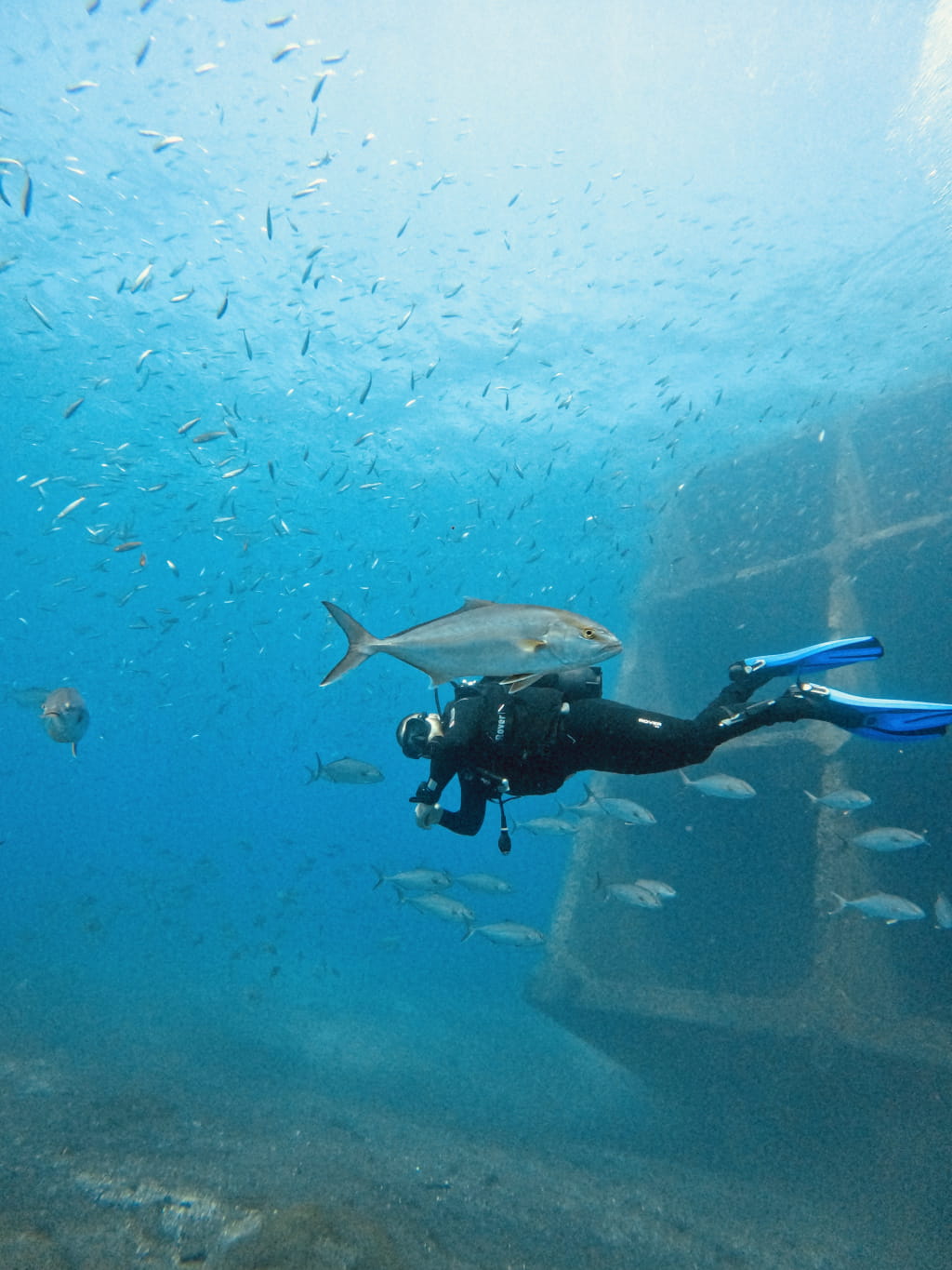 Buceador rodeado de peces junto a un barco hundido en las aguas de Tenerife.