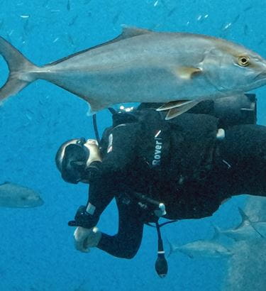 SquatinaSub