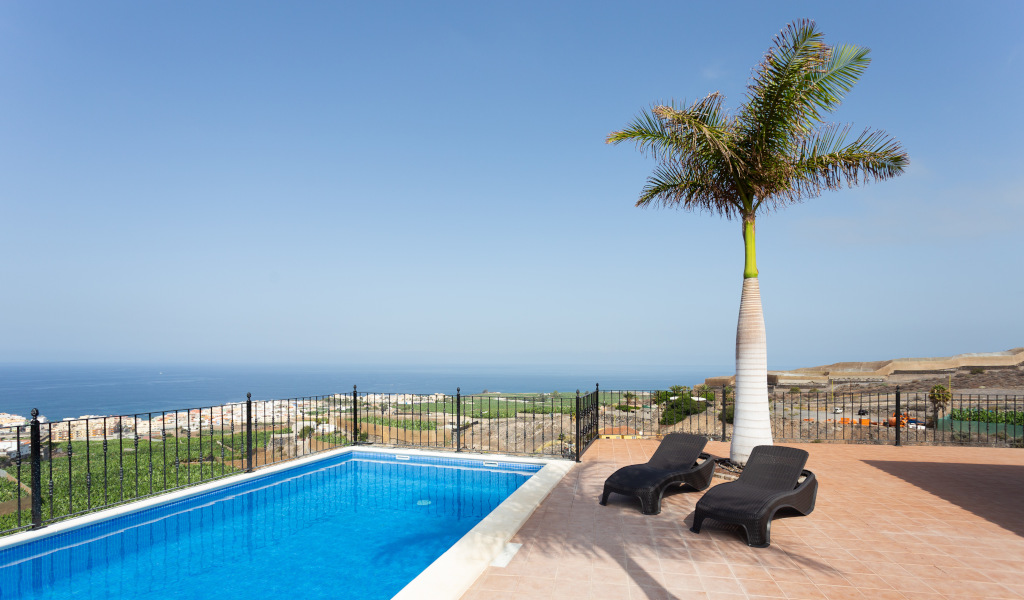 Piscina con vistas al mar y tumbonas en Tenerife bajo una palmera.