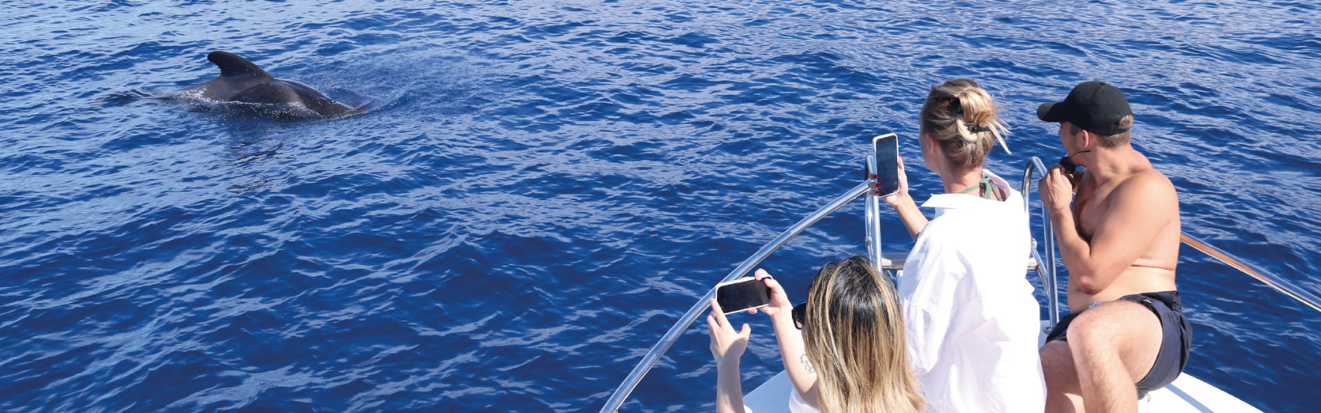 Atlantic Eco Experience