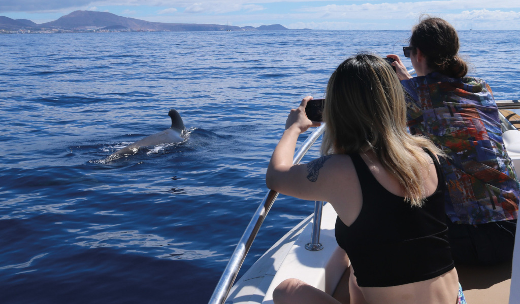 Personas fotografiando ballena en el mar cerca de la costa de Tenerife.