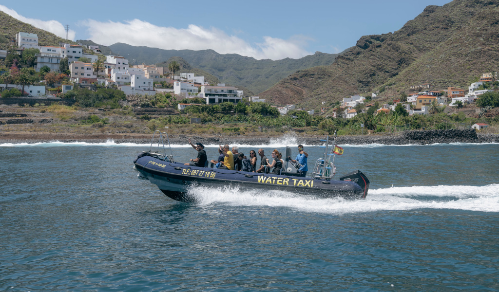 Bicácaro Tenerife