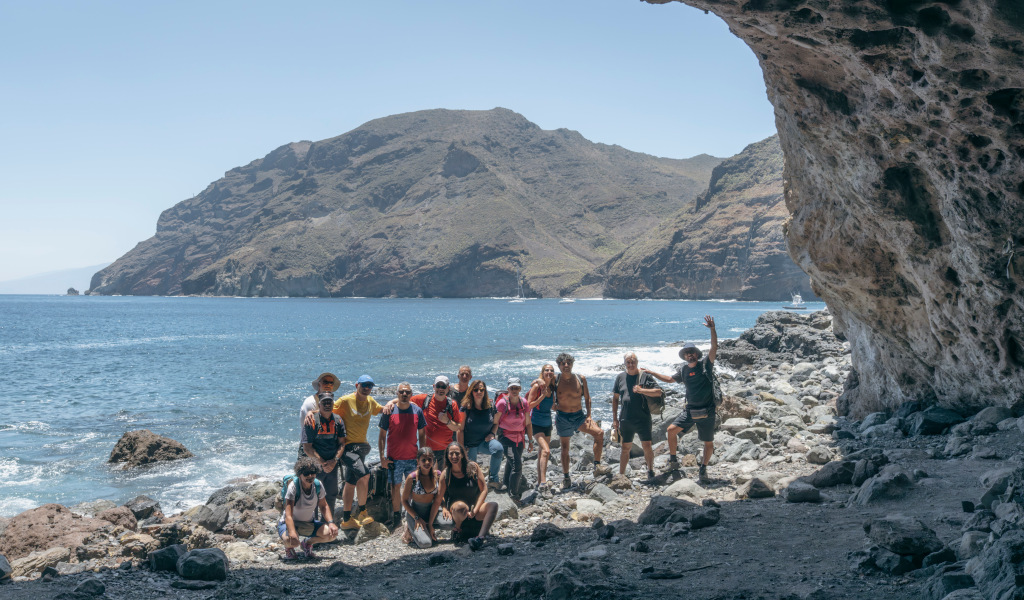 Bicácaro Tenerife