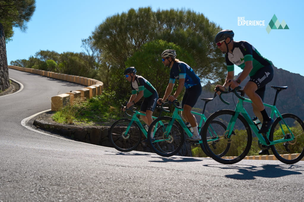 Ciclistas subiendo una carretera en Tenerife rodeados de vegetación.
