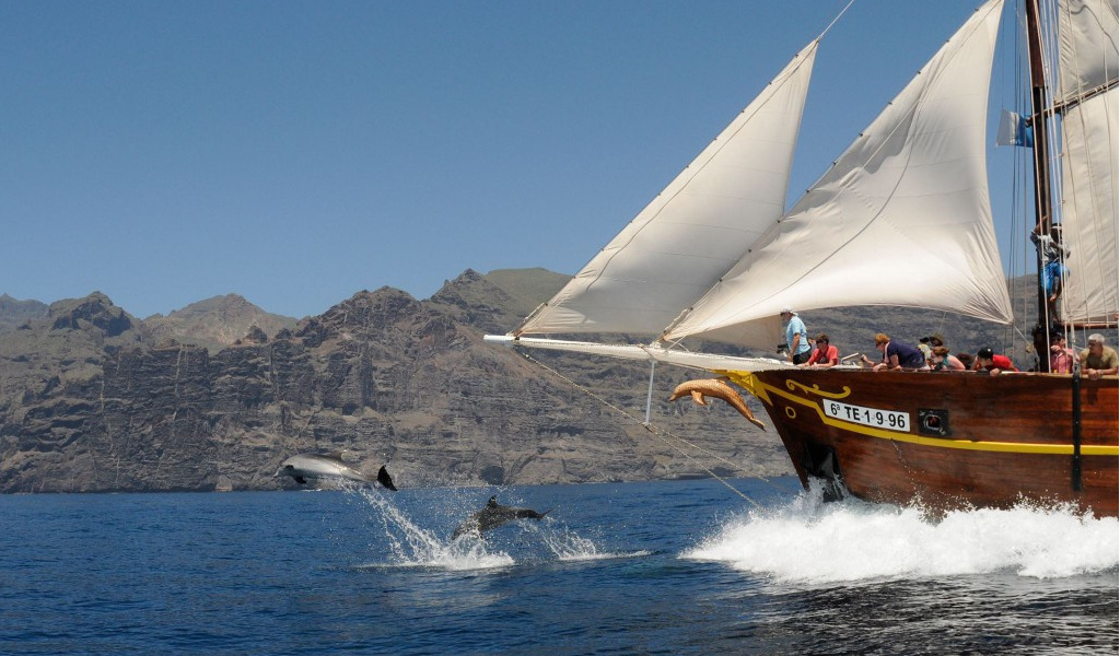 Barco de vela cercano a los Acantilados de Los Gigantes en Tenerife con delfines saltando.