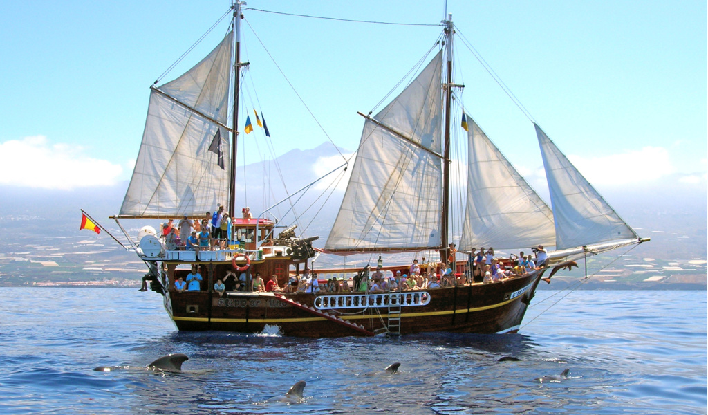 Barco velero turístico en el mar con delfines en las aguas de Tenerife.