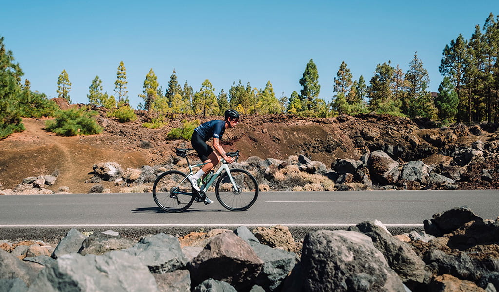 Ciclista en carretera rodeada de árboles y rocas en Tenerife.