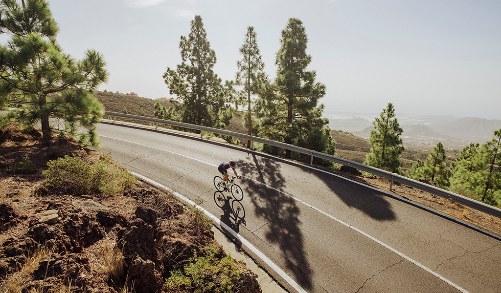 Ciclista descendiendo carretera en Tenerife entre pinos y paisaje montañoso.