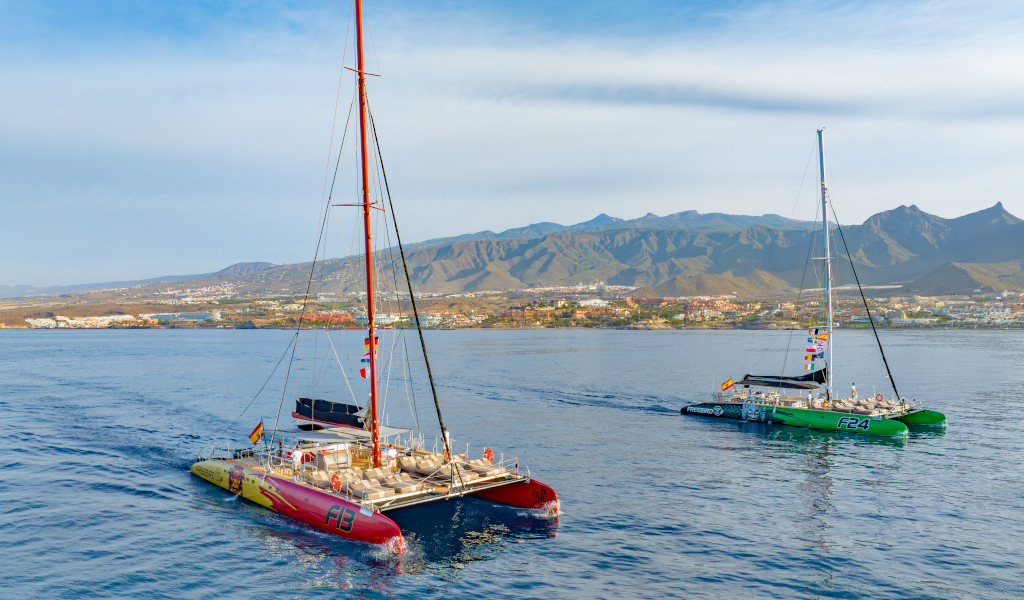 Catamaranes navegando cerca de la costa de Tenerife con montañas al fondo.
