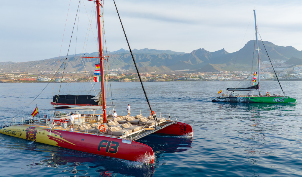 Dos catamaranes navegando frente a la costa de Tenerife, con montañas al fondo.