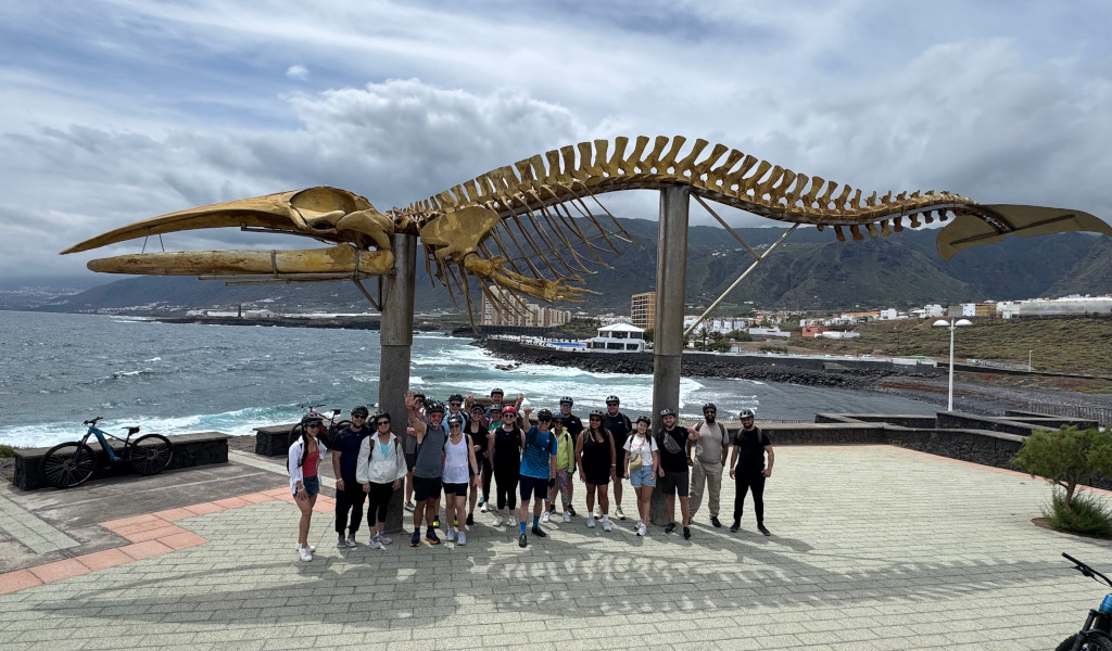 Grupo de personas bajo un esqueleto de ballena en Puerto de la Cruz, Tenerife.