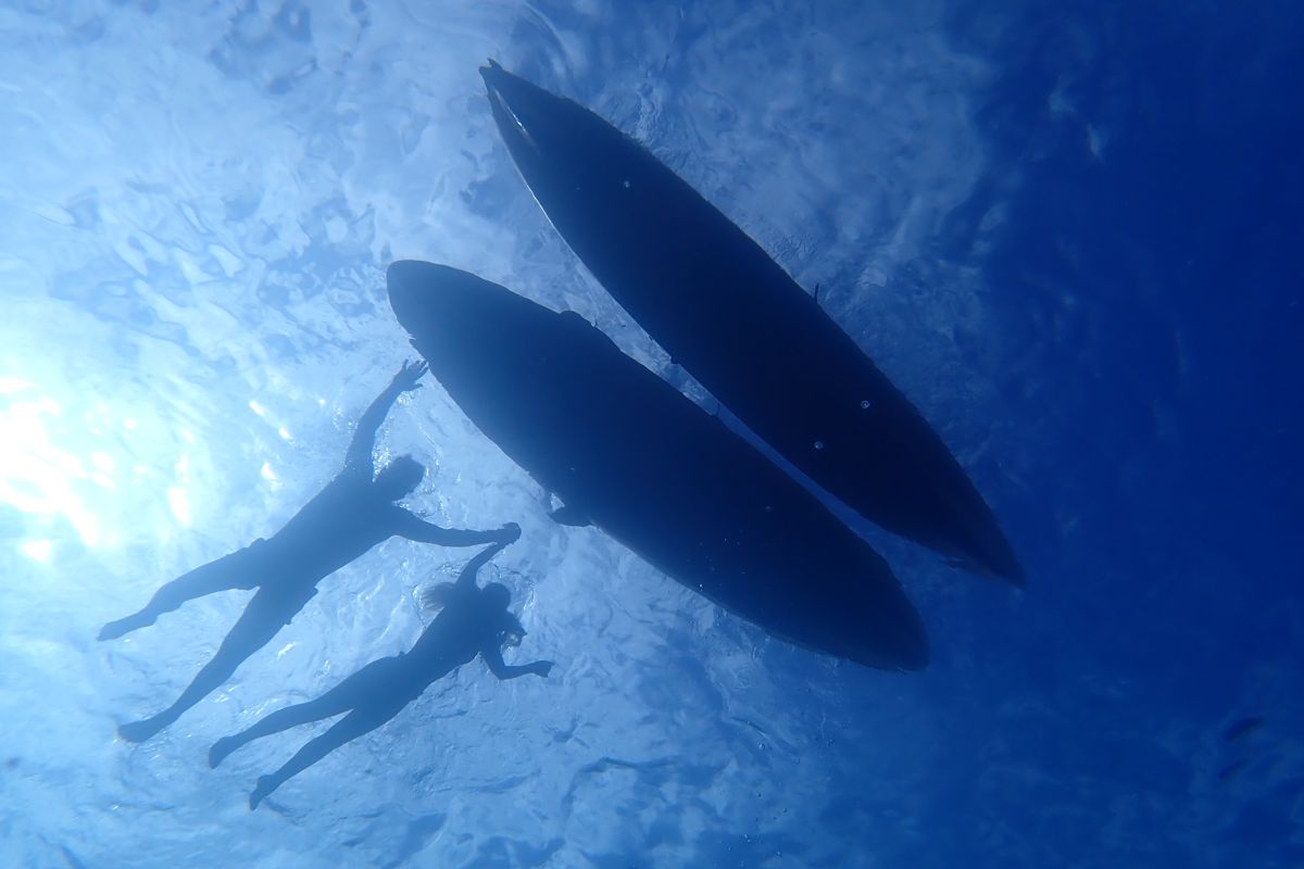 Dos personas nadan bajo el agua junto a tablas de surf en Tenerife.