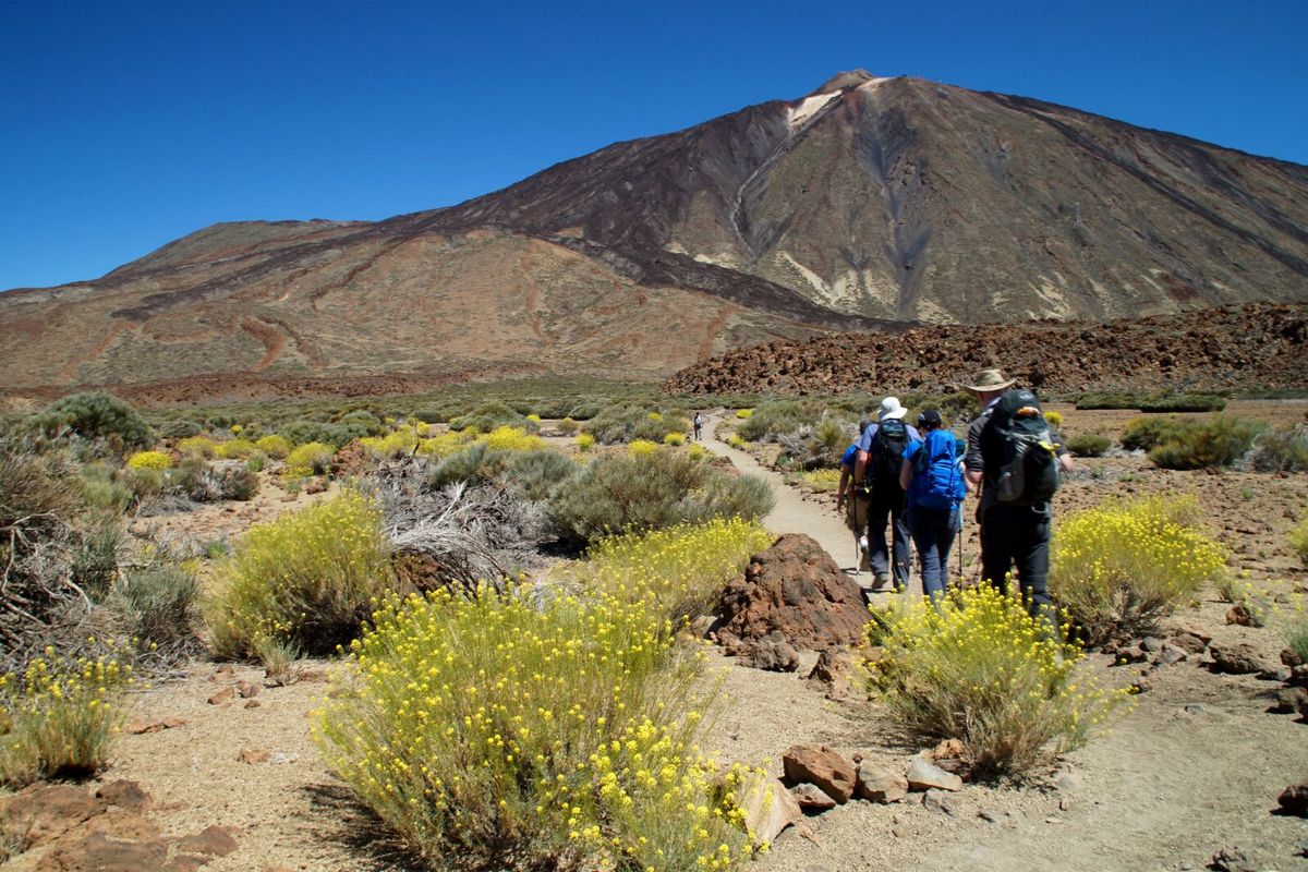 Anaga-experience-1 Anaga-experience-1