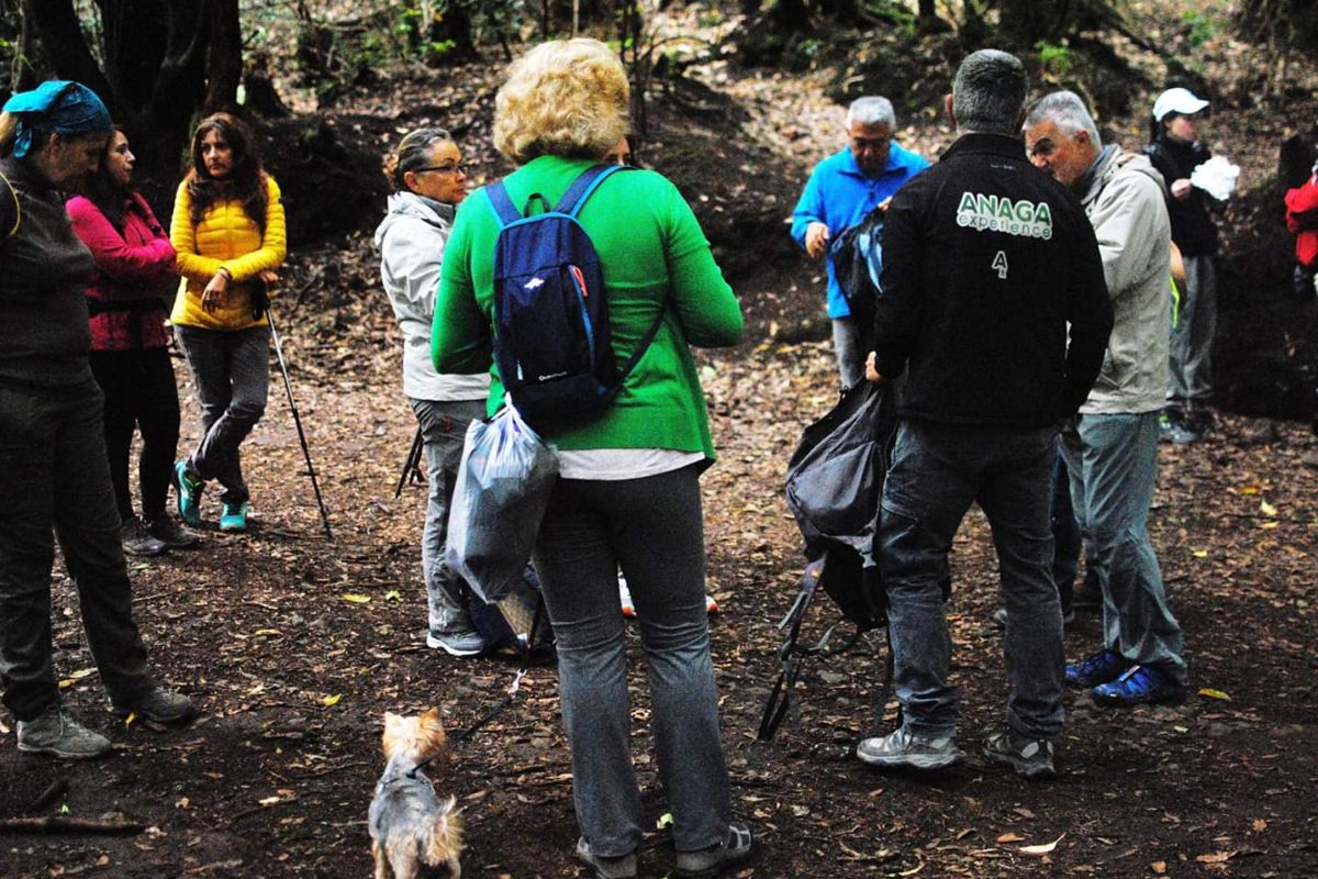 Anaga-experience-14 Anaga-experience-14