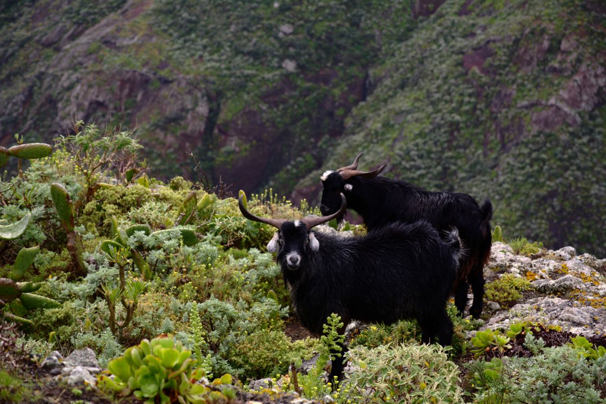 Anaga-experience-15 Anaga-experience-15