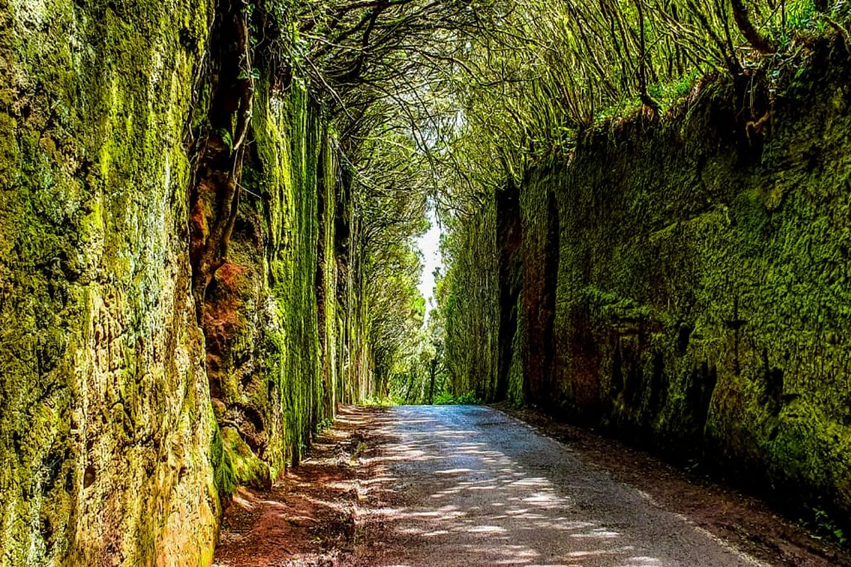 Anaga-experience-6 Anaga-experience-6