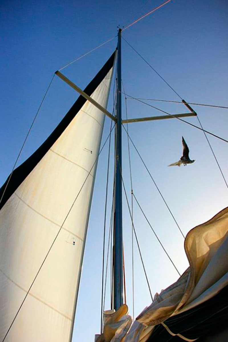 Vela de barco y gaviota sobre el cielo en Tenerife.