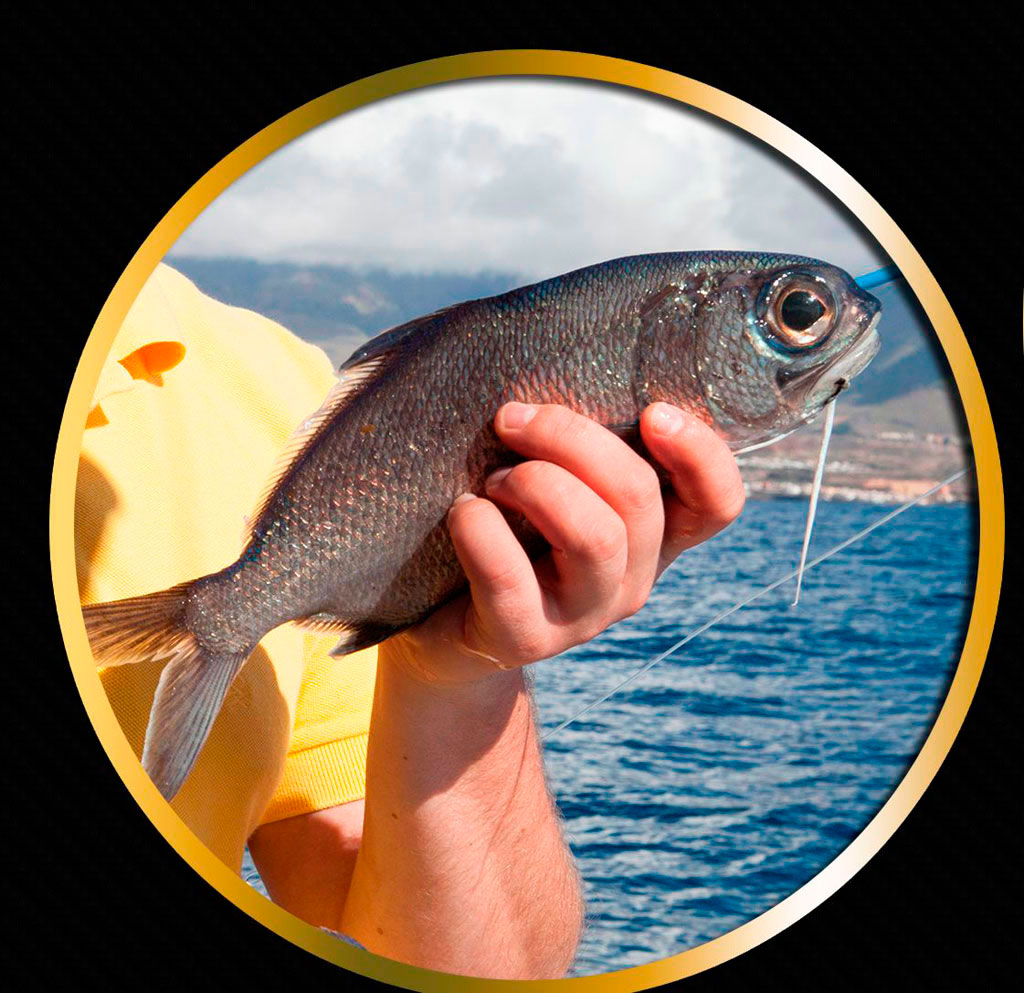 Pescador sosteniendo un pez frente al mar en Tenerife.