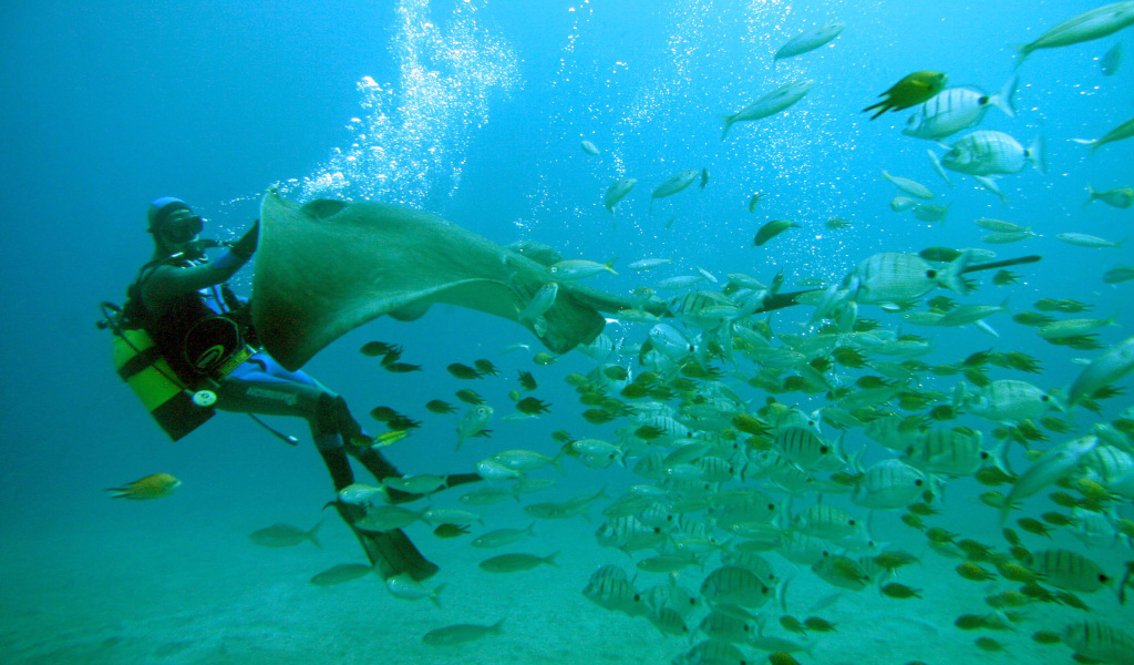 Buceador con manta raya y peces nadando en aguas de Tenerife.