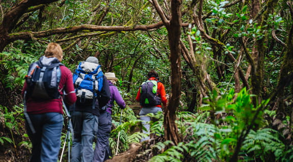 Empresas actividades