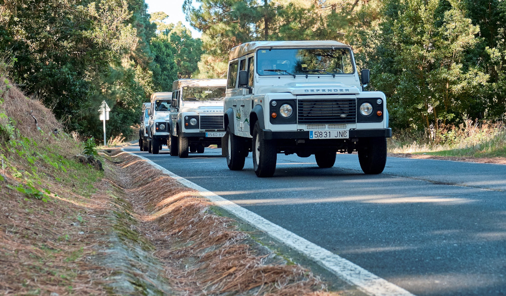 Tres Land Rovers circulan por una carretera rodeada de bosque en Tenerife.
