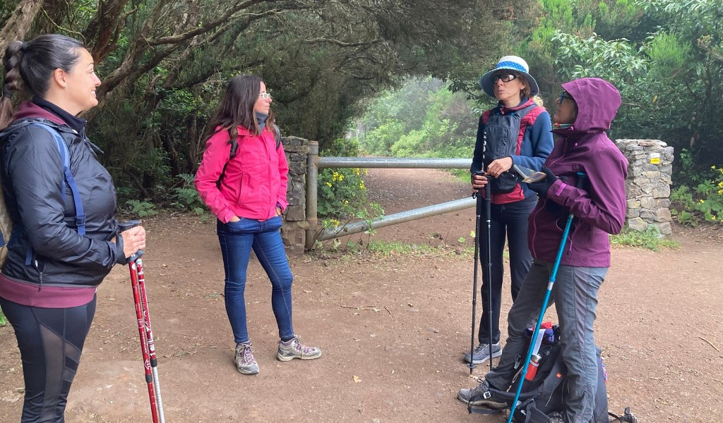 Senderistas conversando en un camino boscoso de Tenerife.