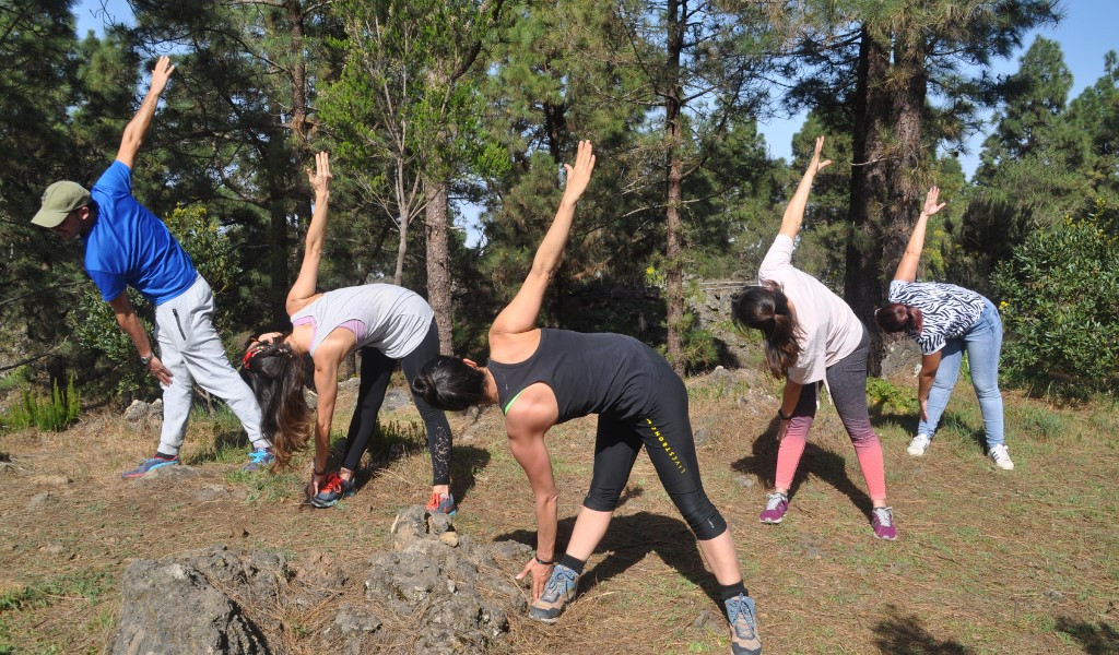 Personas realizando ejercicios de estiramiento en un bosque de Tenerife.