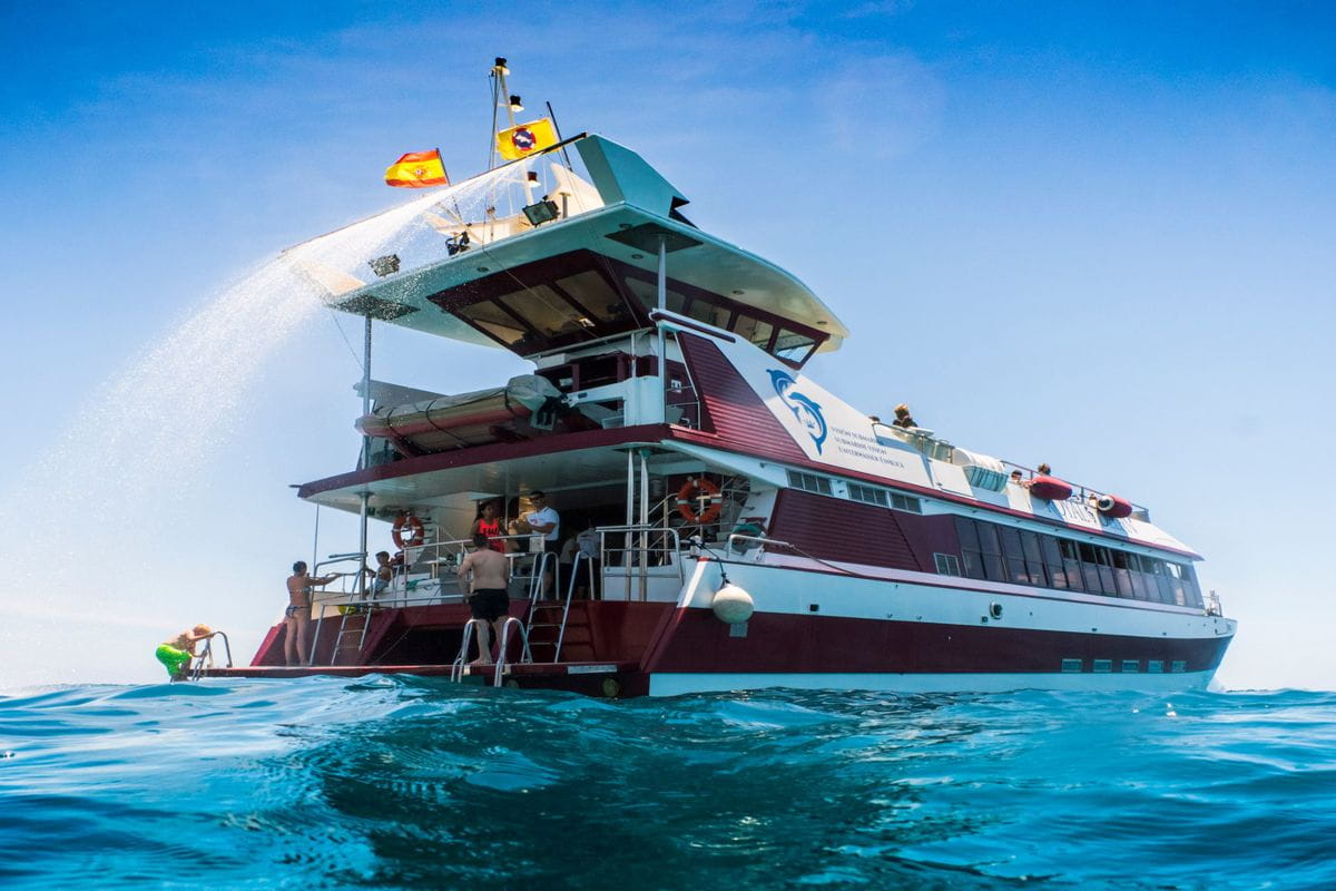 Personas nadan cerca de un barco turístico en Tenerife bajo el sol.
