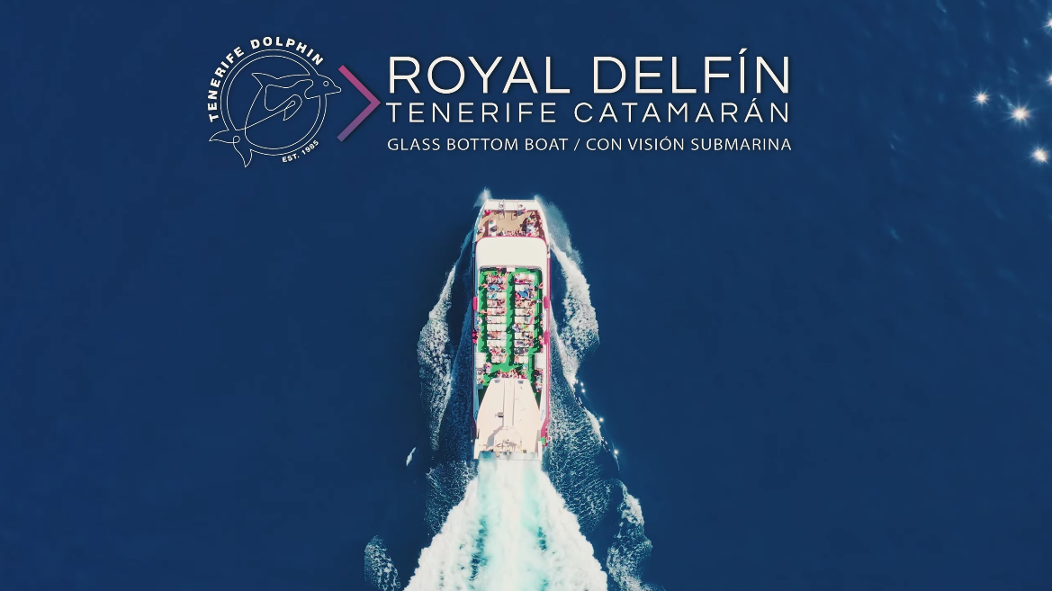 Catamaran Royal Delfín