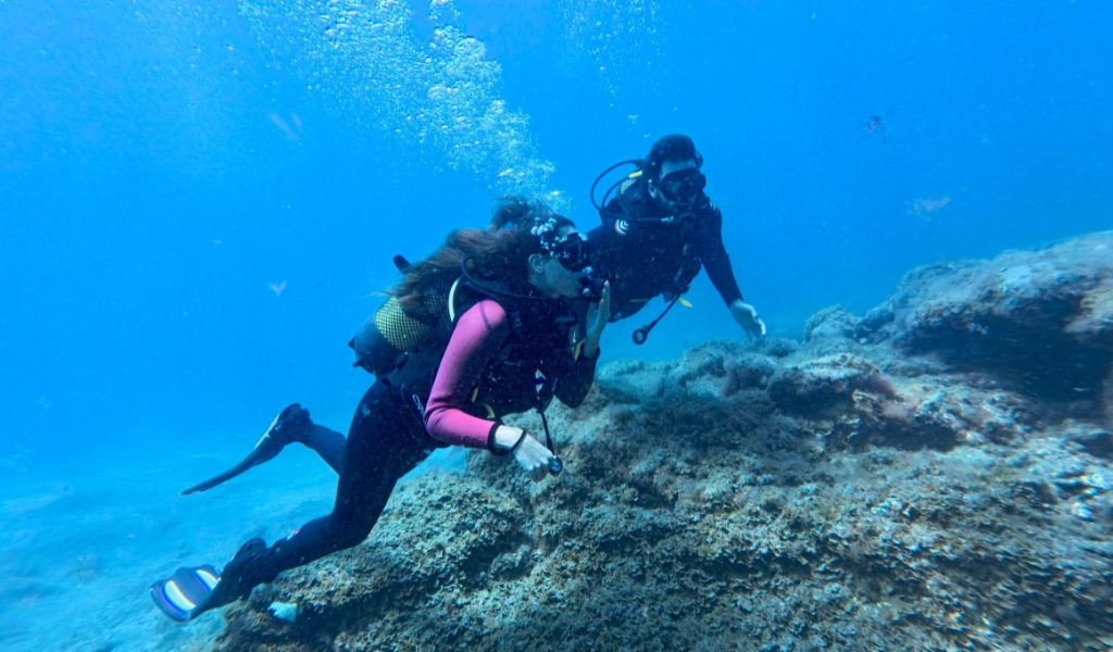 Personas buceando junto a un arrecife en Tenerife.