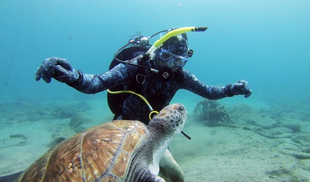 Buceador nadando junto a una tortuga marina en las aguas de Tenerife.