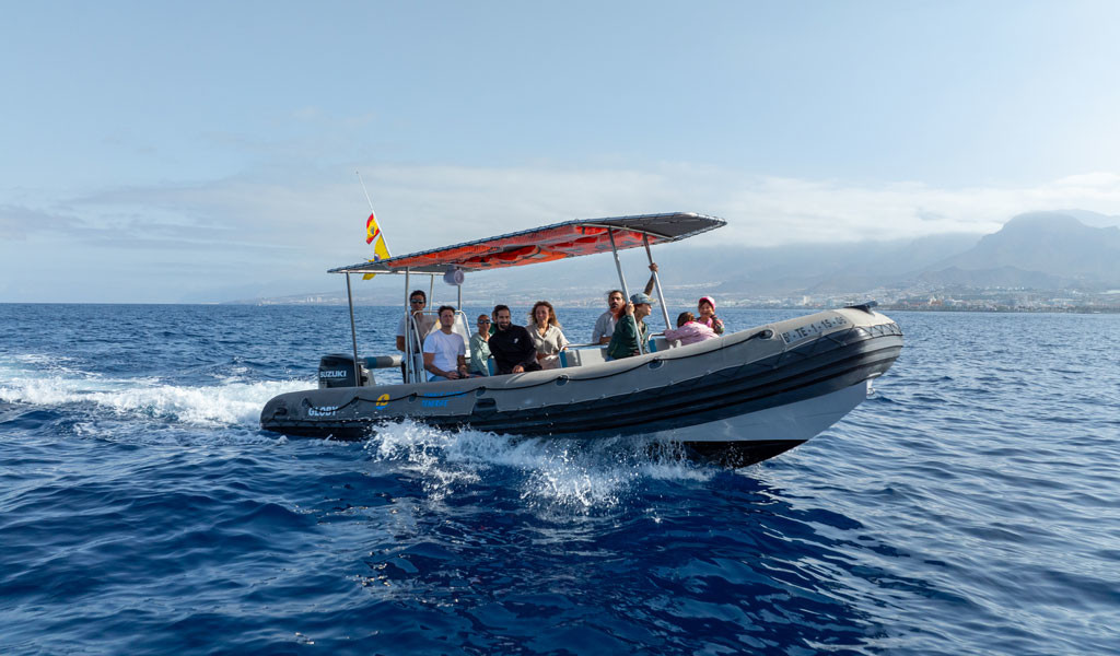 Grupo de personas en barco inflable navegando cerca de la costa de Tenerife.